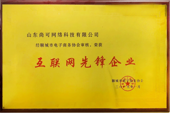 互联网先锋企业